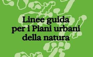 linee guida