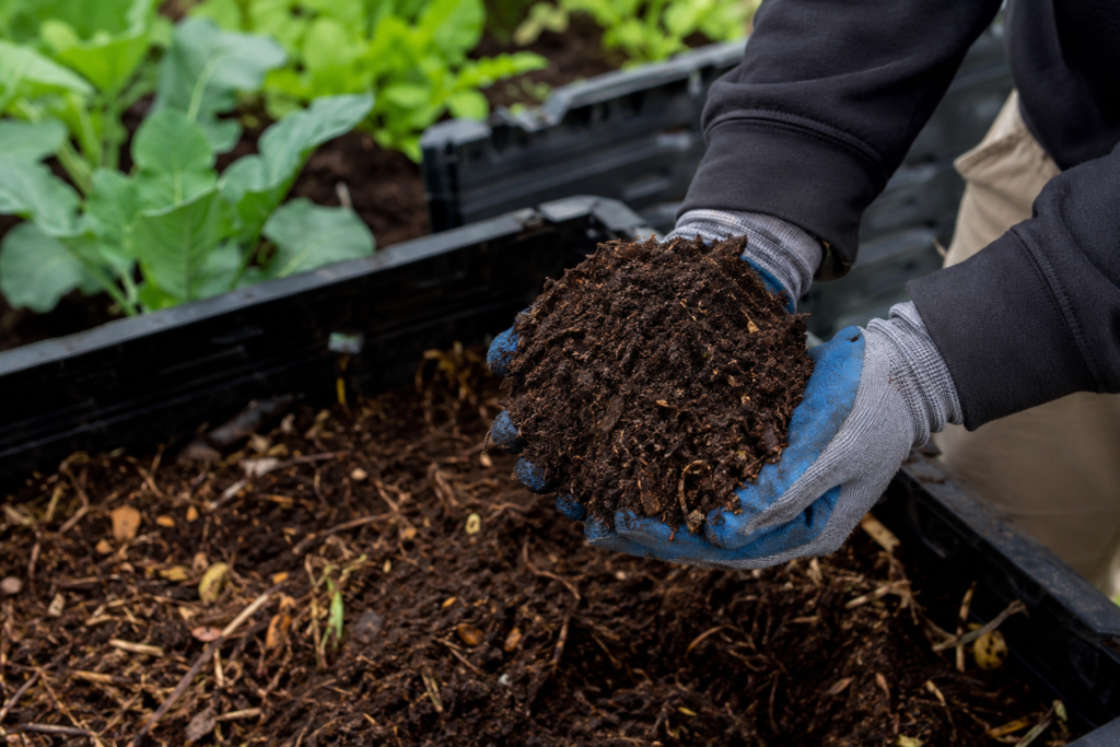 compost ambiente